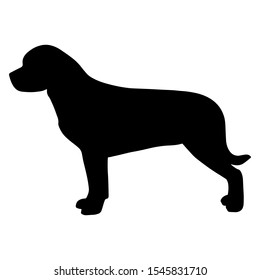 black dog breed silhouette hand drawing isolated Rottweiler