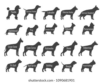 Black dog breeds vector silhouettes isolated on white background. Profile of poodle and labrador, siberian husky and shepherd, dachshund and pug illustration