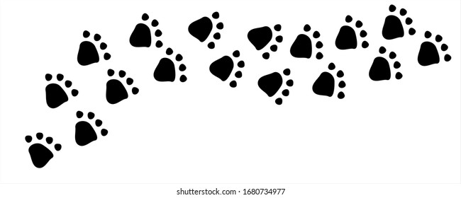 Black dog or cat pet footprint tracks on white panorama background. Animal and pet concept.