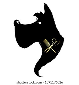 Black dog and golden scissors with comb