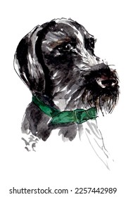 Black dog head pet portrait, watercolor sketch illustration. Isolated vector.