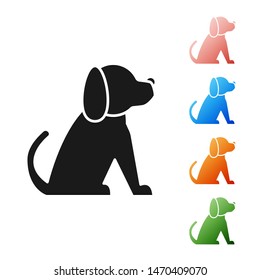 Black Dog icon isolated on white background. Set icons colorful. Vector Illustration