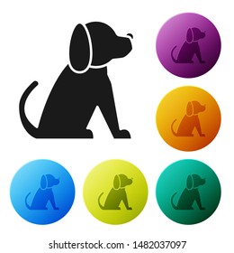 Black Dog icon isolated on white background. Set icons colorful circle buttons. Vector Illustration