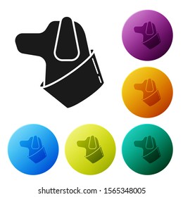 Black Dog icon isolated on white background. Set icons colorful circle buttons. Vector Illustration