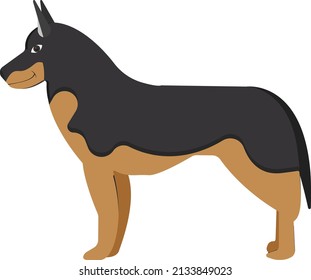 Black dog, illustration, vector on a white background.