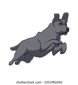 Black Dog is jumping. Active dog. Stock Vectors