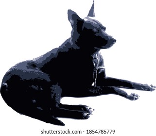 Perro negro en el suelo