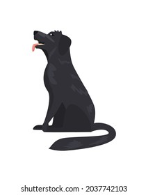 black dog mascot seated character