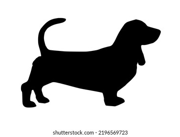 Black Dog, on white Background 