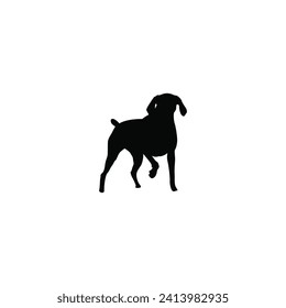 Black dog on a white background
Vector, isolated black silhouettes of dogs, collection. dog silhouette