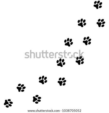 Similar – Image, Stock Photo Wet dog paw prints on the pavement stones