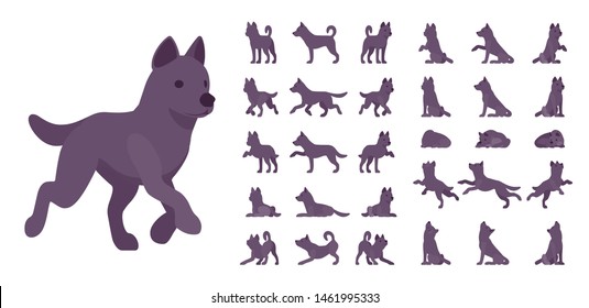 Black dog set. Medium size pet, family companion, active fun, home guarding, farm security, cute agile breed. Vector flat style cartoon illustration isolated, white background, different views, poses