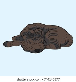 Black Dog. The Shar pei breed. Hand-drawn. Vector illustration.