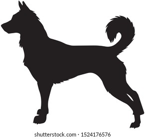 Black Dog silhouette isolated on white background