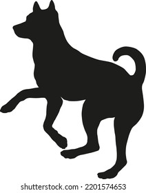 Black dog silhouette. Jumping african bush dog puppy. Basenji or congo dog. Pet animals. Isolated on a white background. Vector illustration.