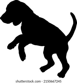 Black dog silhouette. Jumping english beagle puppy. Pet animals. Isolated on a white background. Vector illustration.