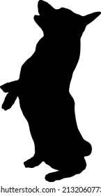 Black dog silhouette. Pembroke welsh corgi puppy is standing on his hind legs. Pet animals. Isolated on a white background. Vector illustration.