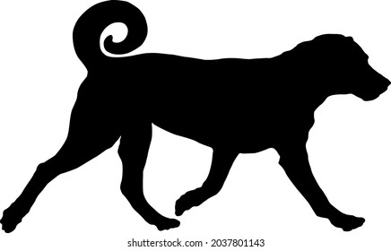 1,270 Cattle dog silhouette Images, Stock Photos & Vectors | Shutterstock