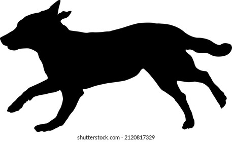 Black dog silhouette. Running appenzeller sennenhund puppy. Appenzeller cattle dog or appenzeller mountain dog. Pet animals. Isolated on a white background. Vector illustration.