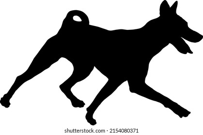 Black dog silhouette. Running basenji puppy. African bush dog or congo dog. Pet animals. Isolated on a white background. Vector illustration.