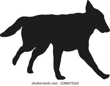 Black Dog Silhouette. Running Belgian Sheepdog Puppy. Tervuren. Pet Animals. Isolated On A White Background. Vector Illustration.