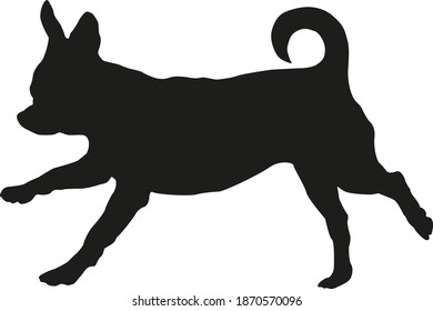 Black dog silhouette. Running chihuahua puppy. Isolated on a white background. Vector illustration.