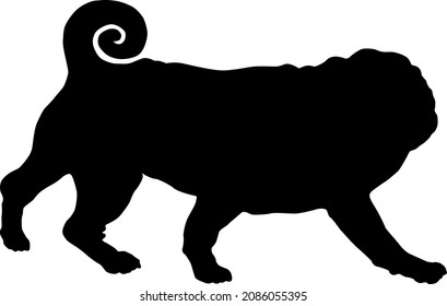 Black dog silhouette. Running chinese pug puppy. Dutch bulldog or mini mastiff. Pet animals. Isolated on a white background. Vector illustration.