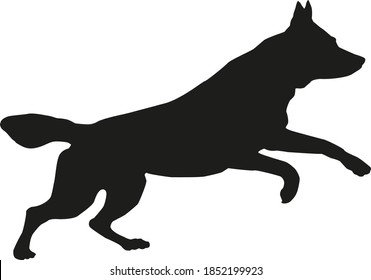 Black dog silhouette. Running czechoslovak wolfdog puppy. Isolated on a white background. Vector illustration.