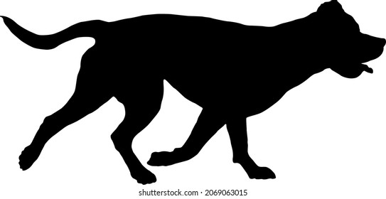 Black dog silhouette. Running italian mastiff. Pet animals. Isolated on a white background. Vector illustration.