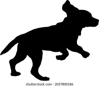 Black dog silhouette. Running and jumping english beagle puppy. Pet animals. Isolated on a white background. Vector illustration.