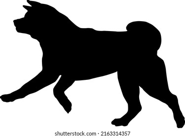 Black dog silhouette. Running and jumping american akita puppy. Pet animals. Isolated on a white background. Vector illustration.