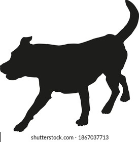 Black dog silhouette. Running labrador retriever puppy. Isolated on a white background. Vector illustration.