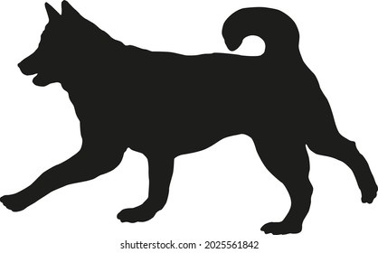 Black dog silhouette. Running siberian husky. Pet animals. Isolated on a white background. Vector illustration.