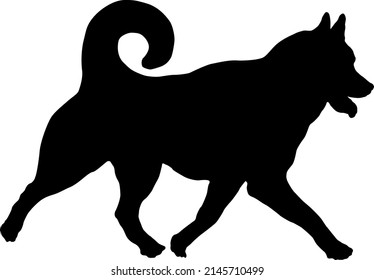 Black dog silhouette. Running siberian husky puppy. Pet animals. Isolated on a white background. Vector illustration.