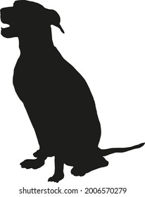 Schwarzer Hund Silhouette. Ich sitze auf deutschem Pinscher-Welpe. Haustiere. Einzeln auf weißem Hintergrund. Vektorgrafik.