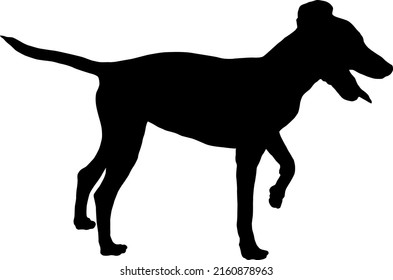Black dog silhouette. Standing miniature pinscher puppy. Pet animals. Isolated on a white background. Vector illustration.