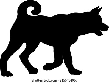 Black dog silhouette. Walking american akita puppy. Pet animals. Isolated on a white background. Vector illustration.