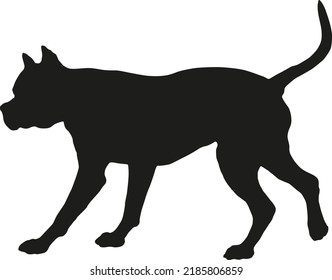 Black dog silhouette. Walking american staffordshire terrier puppy. Pet animals. Isolated on a white background. Vector illustration.