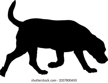 Black dog silhouette. Walking and snifiing english beagle puppy. Pet animals. Isolated on a white background. Vector illustration.