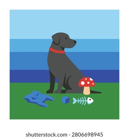 A black dog sits on green grass with a red collar looking out to sea with a toy fish bone mushroom