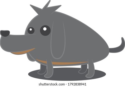 
a black dog with a unique build looked very happy and excited