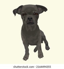 Black Dog Vector Design With ivory color Background