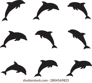 Black dolphin silhouettes in various poses