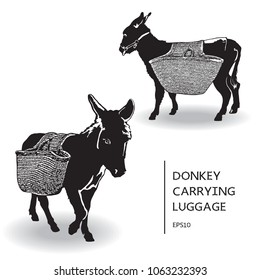 Black donkeys with carrying luggage on white background. 
Vector illustration of farm animal with basket on the back.