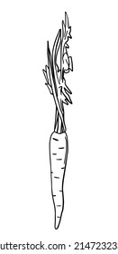 Black doodle Carrot. Hand drawn garden plants illustration.
