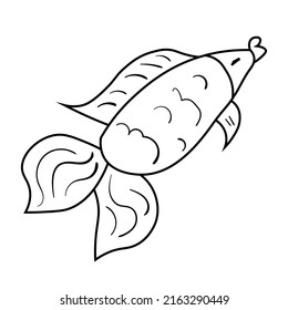 Black doodle fish vector illustration. Animal icon for kids. Line art on white background.