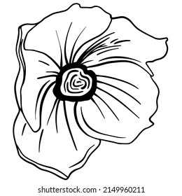 Doodle negro de una flor. Ilustración de flores primaverales dibujadas a mano.