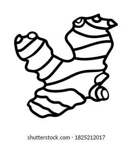The black doodle root of ginger is isolated on a white background. Vector illustration.