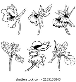 Black doodle set of flowers. Hand-drawn spring flowers illustration.
