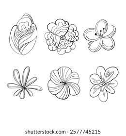 black doodle spring flowers set